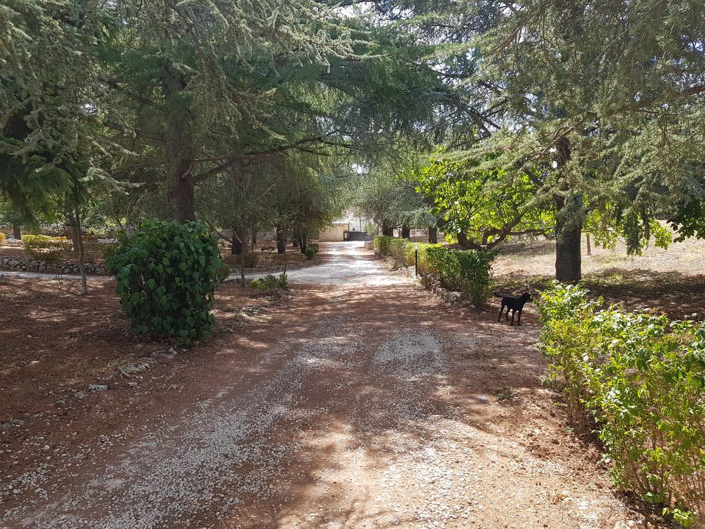 Villa Venus Woods Martina Franca Eksteriør billede