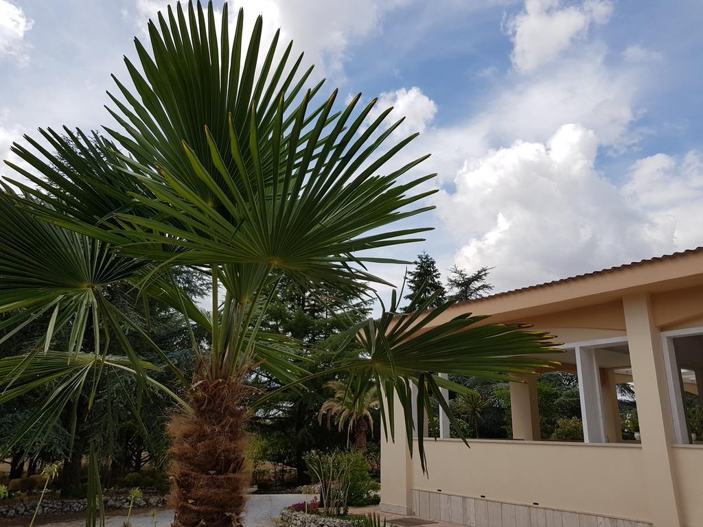 Villa Venus Woods Martina Franca Eksteriør billede