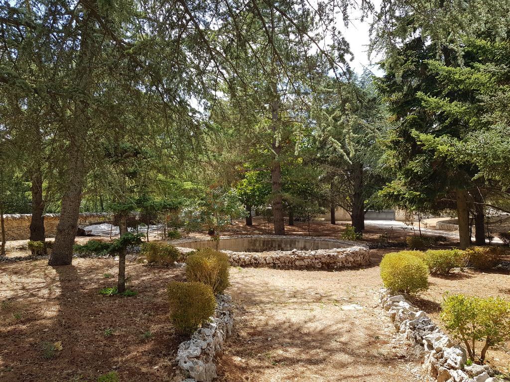 Villa Venus Woods Martina Franca Eksteriør billede