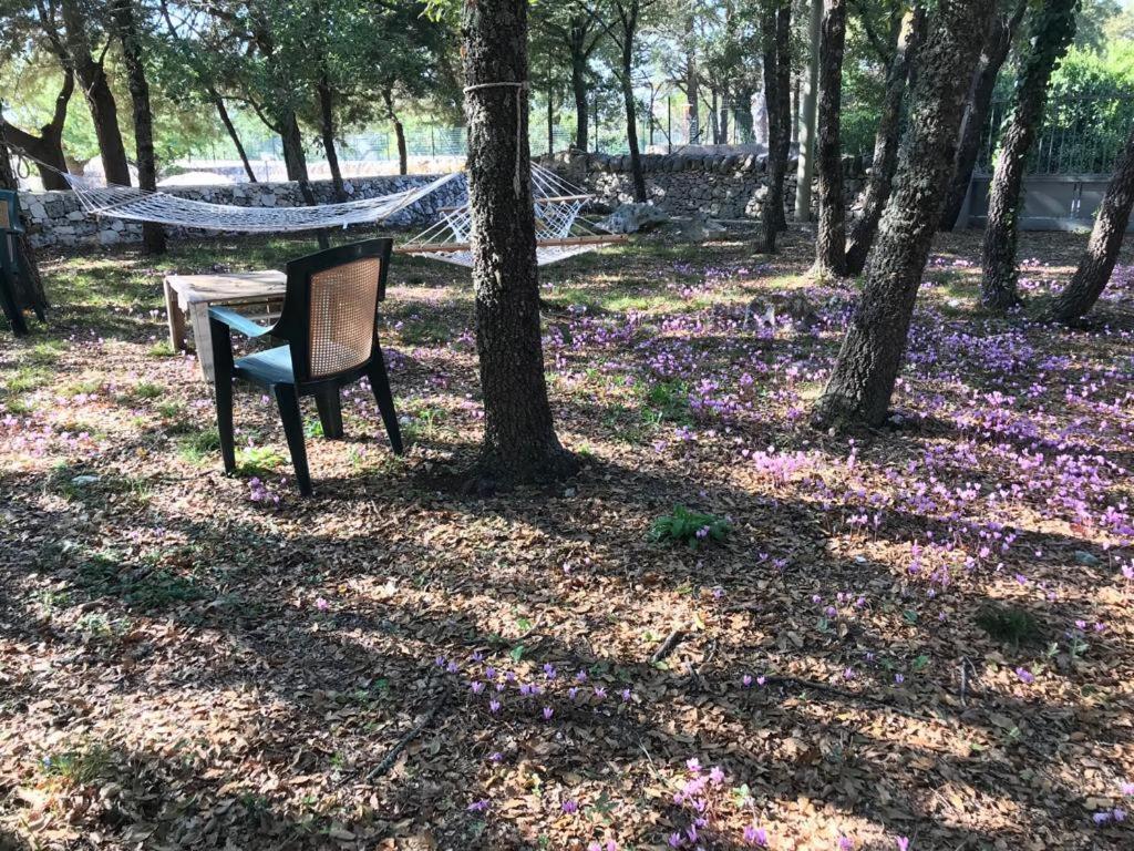 Villa Venus Woods Martina Franca Eksteriør billede